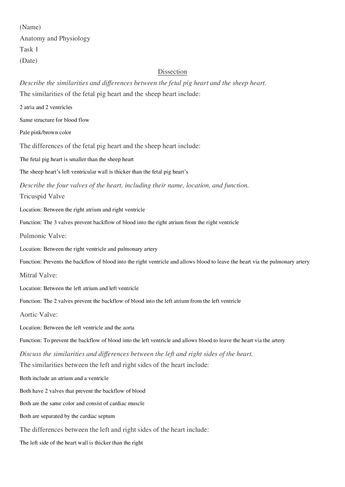 document-preview